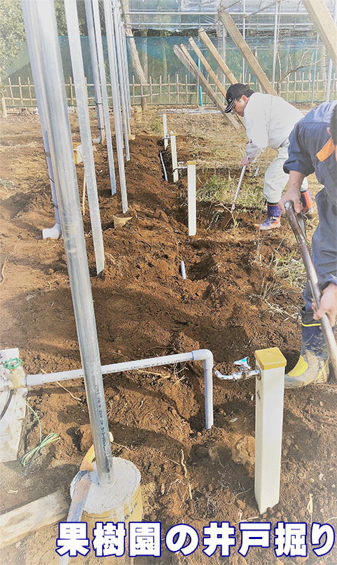 果樹園の井戸掘り